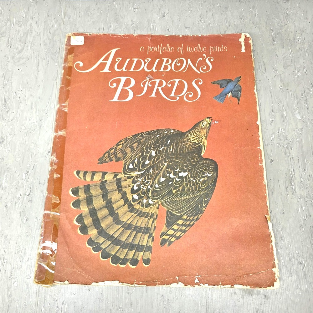 Vtg Audubons Birds Portfolio Cover Paper Craft Junk Journal Grungy Distressed